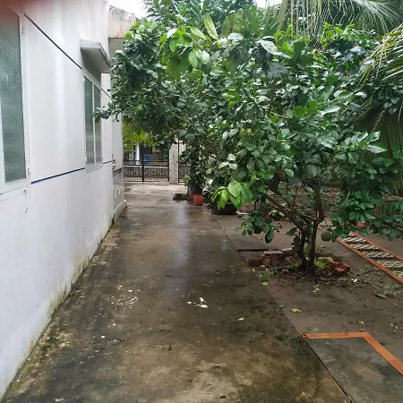 Mecong Homestay Ben Tre Exterior photo